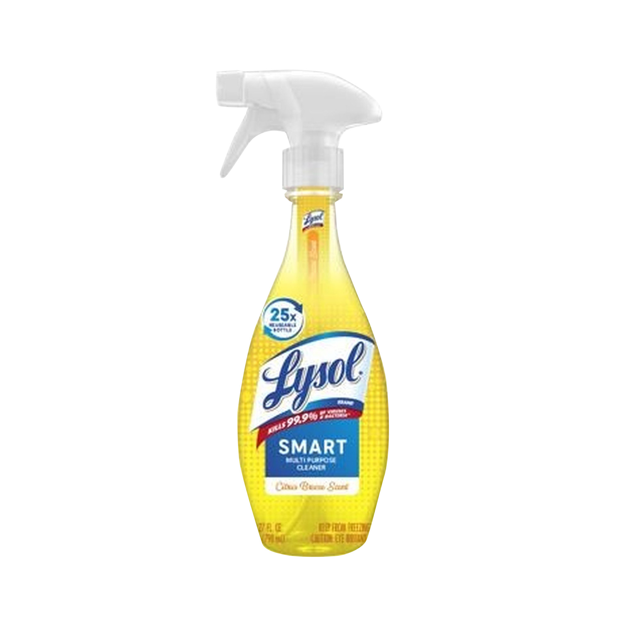 LYSOL® Smart MultiPurpose Cleaner Citrus Breeze Diversey Global