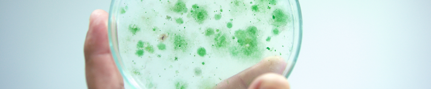 BlogHeroImg_Six Strategies for Controlling Salmonella