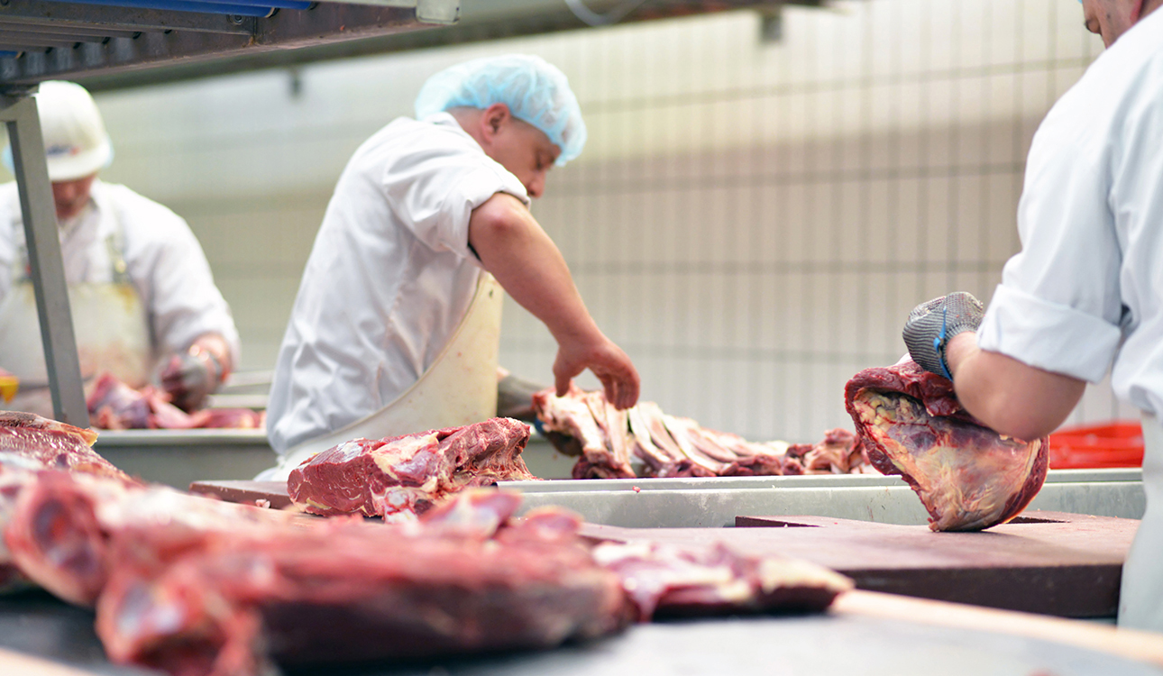 Processing Plant Food Safety Compliance