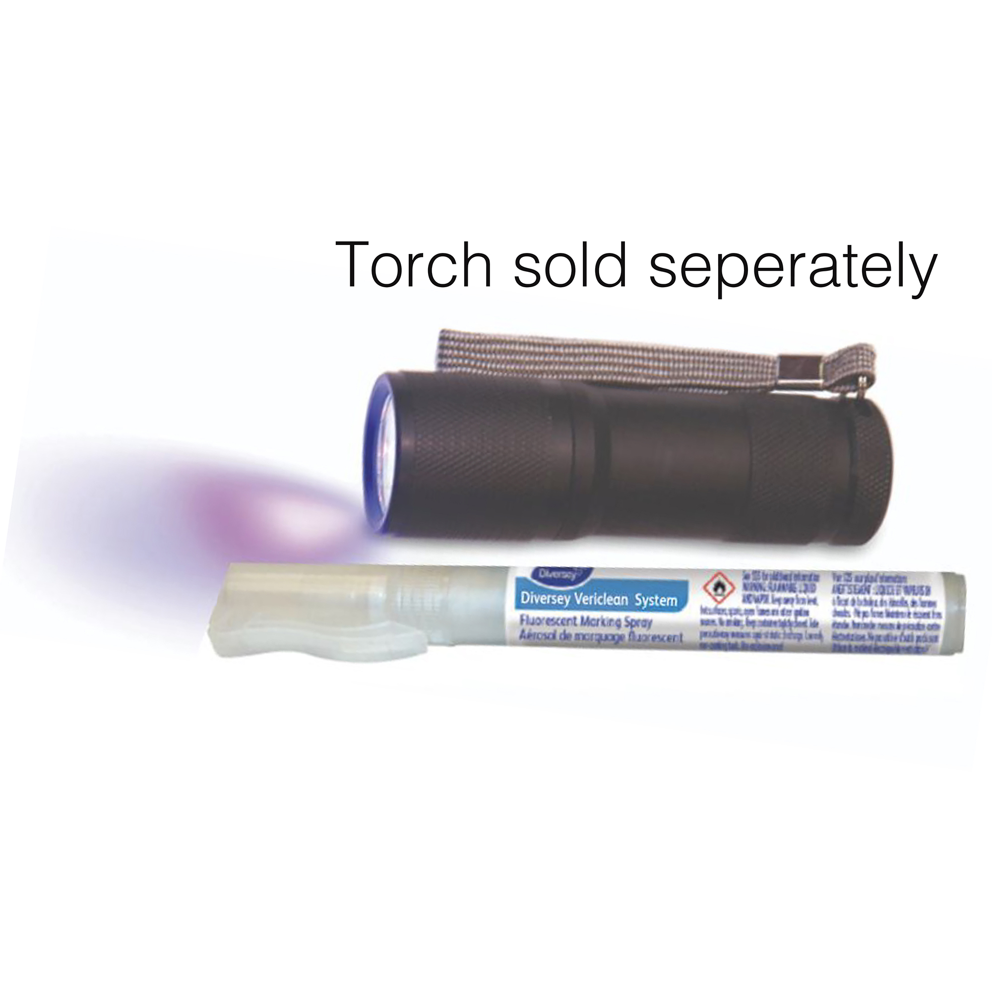 Diversey Vericlean pen and torch
