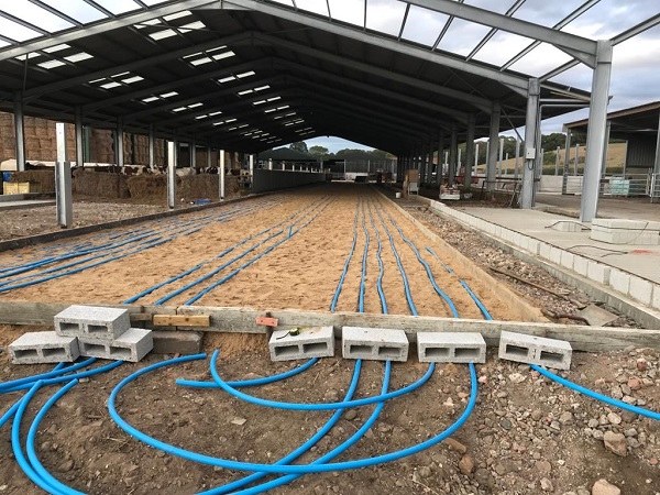 we are dairy fen farm