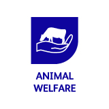 animal welfare