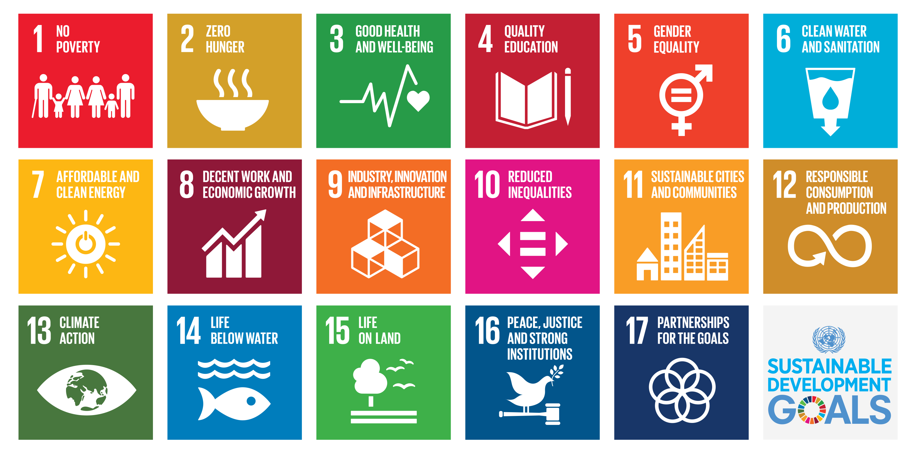17 Sustainable Development Goals (SDGs) used to develop the new Diversey sustainability strategy.
