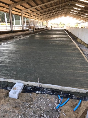 we are dairy fen farm