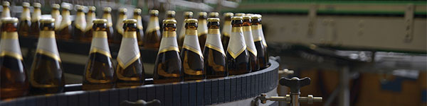 application course a5