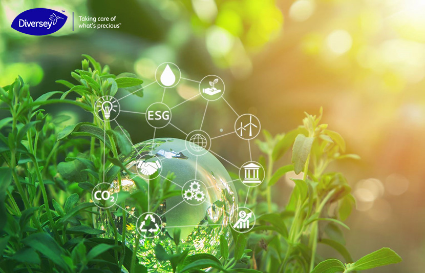 Sustainability