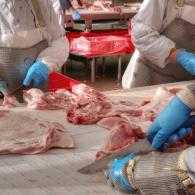 Meat processors COVID-19 help hero