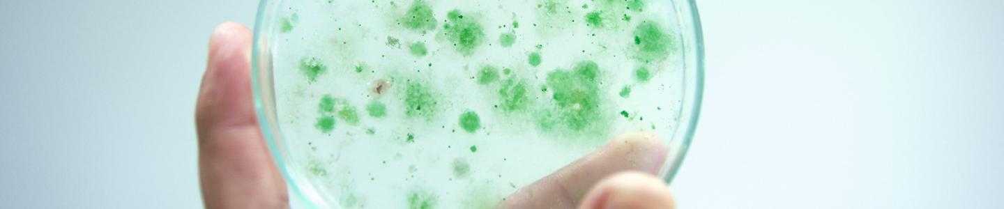 BlogHeroImg_Six Strategies for Controlling Salmonella