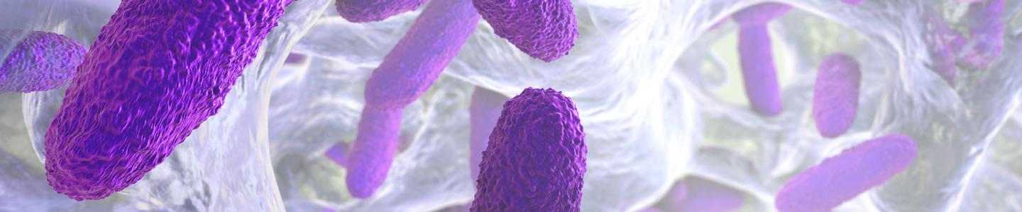 BlogHeroBanner_Managing and Preventing Biofilms