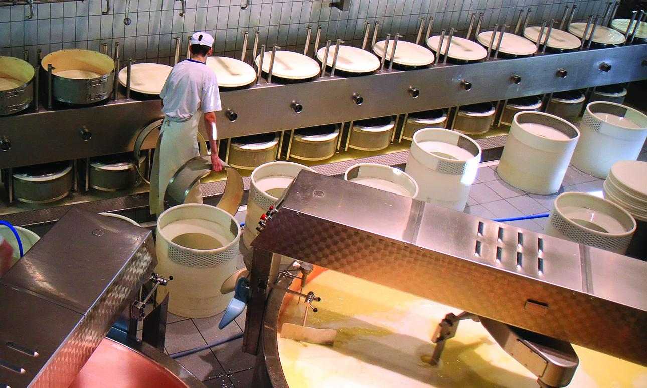 Italian cheese production 