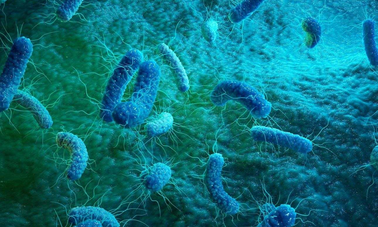 Sanitizer Rotation to Prevent Bioresistance