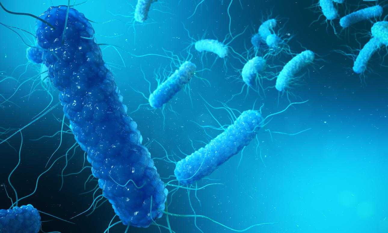 Understanding and controlling biofilm