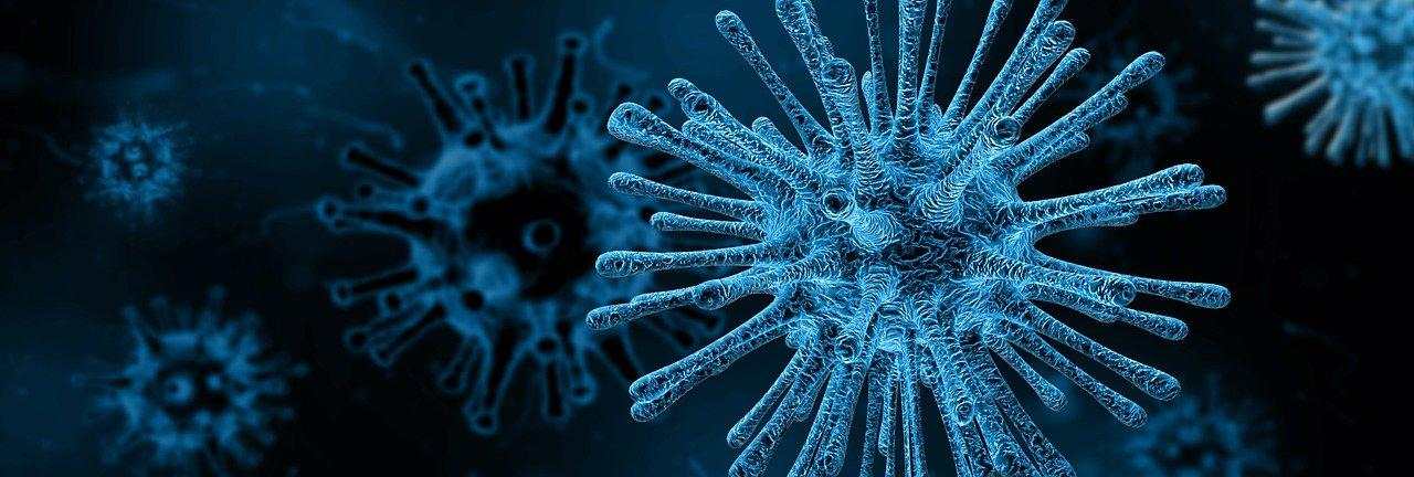 Variantes del virus e implicaciones para la higiene ambiental