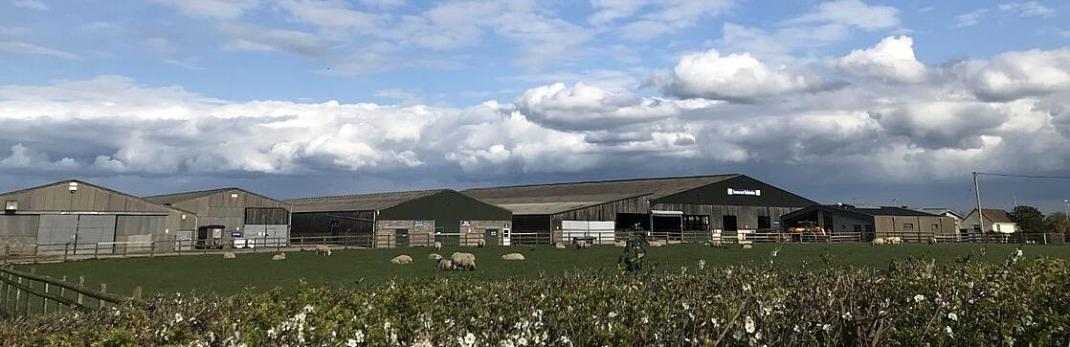 Bridgwater and Taunton, Rodway Farm we are dairy entry