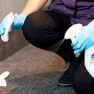 Header Teppichreinigung